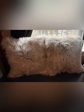 Luxurious Plush Faux Fur Throw Pillow - Light Taupe
Set of two. Never used